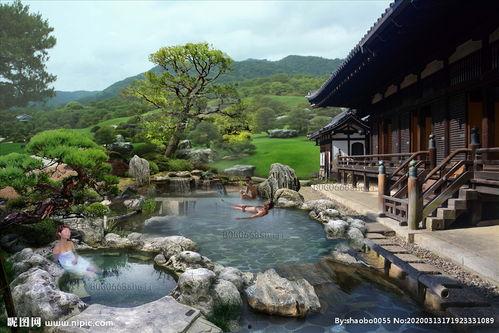 温泉艺妓日本图片,日本传统美学的独特魅力