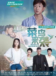 菜鸟来袭在线观看,一场电商界的青春逆袭战