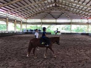 明星林志颖骑马照片,驾驭骏马，尽显明星骑术风采