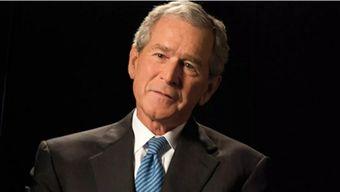 布什曼爆料视频大全,揭秘不为人知的真相与内幕