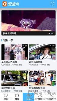 搞笑视频下载到手机,笑料横生！手机里的搞笑视频大盘点