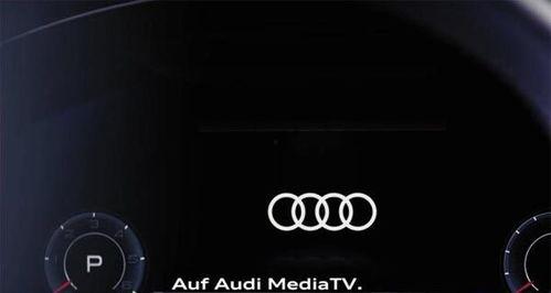 a6视频,揭秘其独特魅力与精彩内容