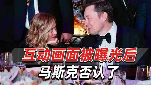 外媒爆料马斯克事件视频,外媒揭秘惊人一幕