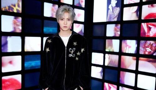 鹿晗韩国爆料视频,娱乐圈背后的惊人真相