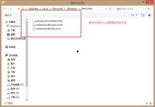 最新高校爆料视频下载网站,最新爆料视频下载网站大盘点