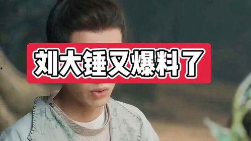 刘大锤爆料抽烟视频大全,揭秘娱乐圈烟民生活