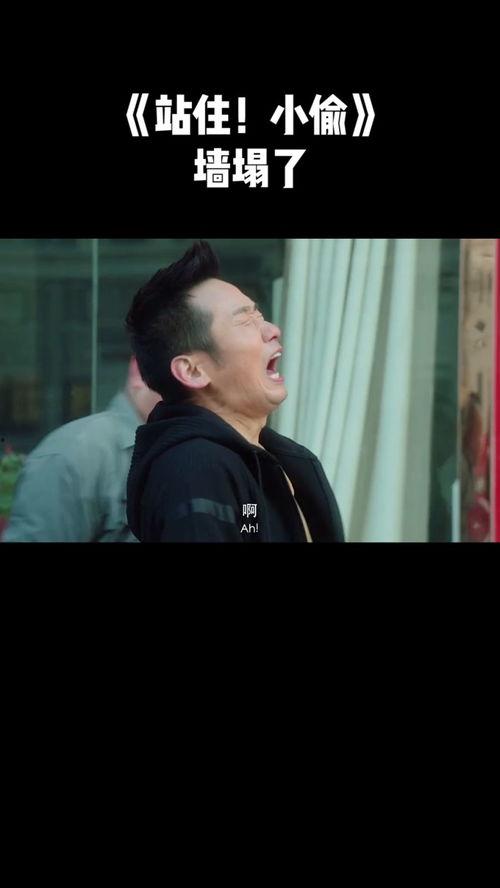 站住 小偷 在线播放,小偷！揭秘在线播放背后的悬疑故事